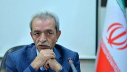 ارز ۴۲۰۰ تومانی حمایت از اقشار آسیب&zwnj;پذیر را برآورده نکرد
