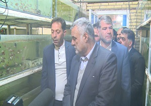 بازدید وزیر جهاد کشاورزی از قطب تولید ماهیان زینتی کشور
