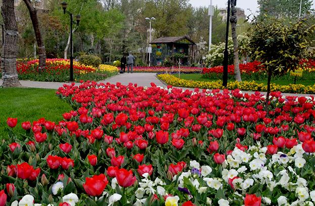 جشنواره گل&zwnj;های تابستانه در اراک برگزار می شود