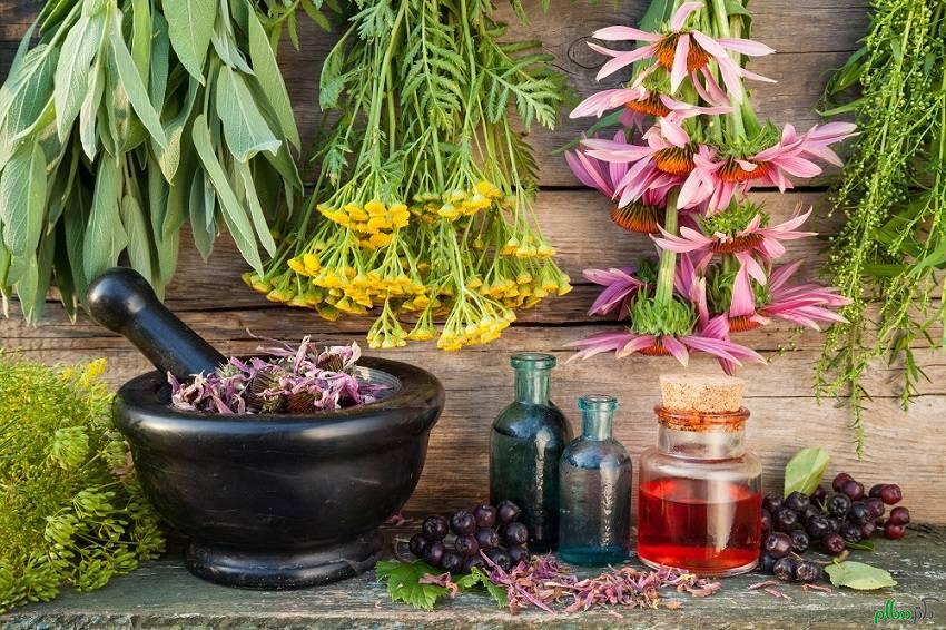 کبدچرب؛ عارضه&zwnj;ای که می&zwnj;تواند منجر به مرگ شود/ نسخه&zwnj;های طب سنتی برای درمان کبدچرب