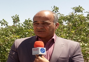 اجرای مانور اطفاء حریق در جنگل باغ شادی خاتم
