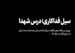 ایده جالب اتریشی‌ها برای مهار سیلاب + فیلم