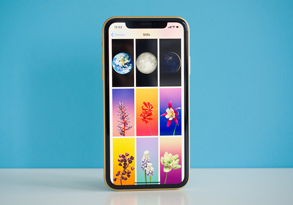 آیفون XR پرفروش&zwnj;ترین آیفون در آمریکا