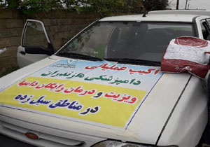معاینه بالینی هزار و ۵۶۰ راس دام سبک و سنگین در مناطق سیلزده بابلسر