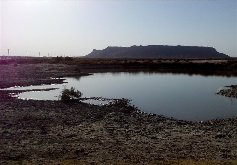حدود ۳۰ درصد تالاب هامون آبگیری شده است