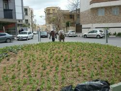 گلکاری میدان عضد اراک