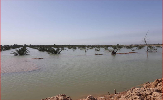 آخرین اخبار از مناطق سیل زده شنبه هفتم اردیبهشت