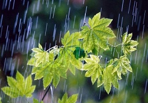 ثبت ۷۳۴ میلی متر بارندگی دراستان کردستان