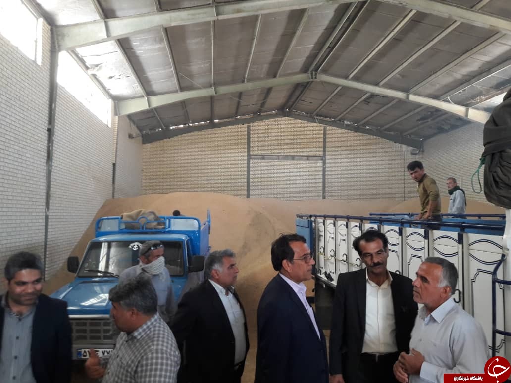 مرکز خرید گندم جدید در استان بوشهر راه اندازی شد