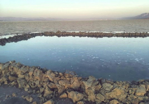 پیگیری رها سازی حقابه بختگان