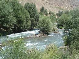 جست و جو برای کودک چهار ساله یاسوجی همچنان ادامه دارد