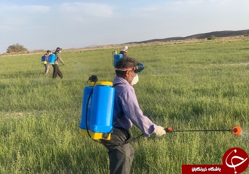 مهمان&zwnj;های ناخوانده عربستانی در نهبندان دیده شدند