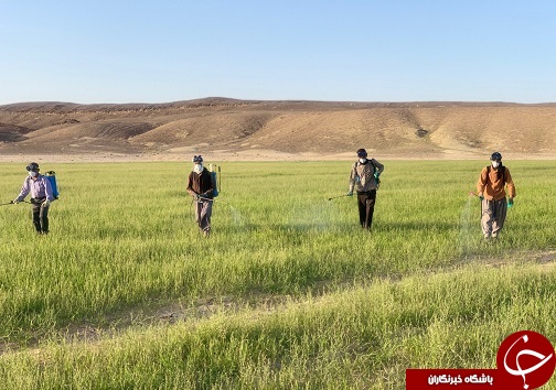 مهمان&zwnj;های ناخوانده عربستانی در نهبندان دیده شدند