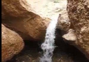 فیلمی از طبیعت بهاری در روستای تکیه