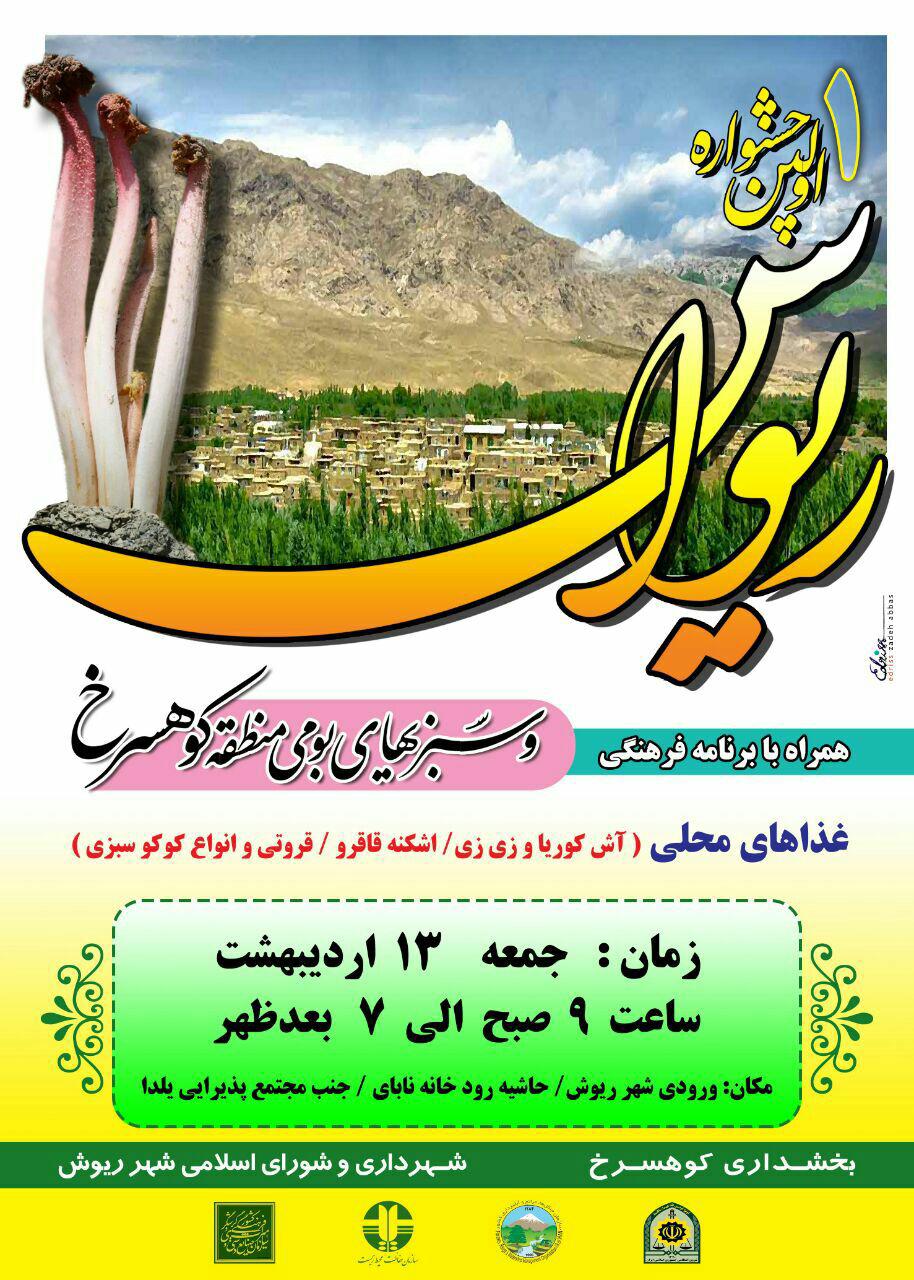 برگزاری جشنواره ریواس کوهسرخ