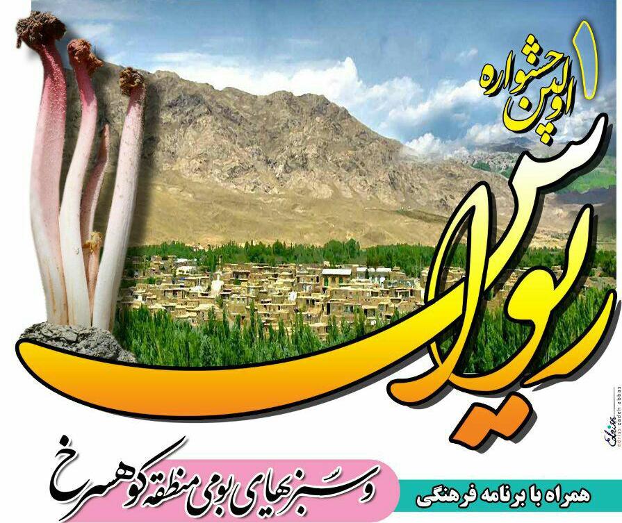 جشنواره ریواس کوهسرخ برگزار می&zwnj;شود