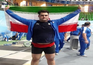 داودی طلایی شد