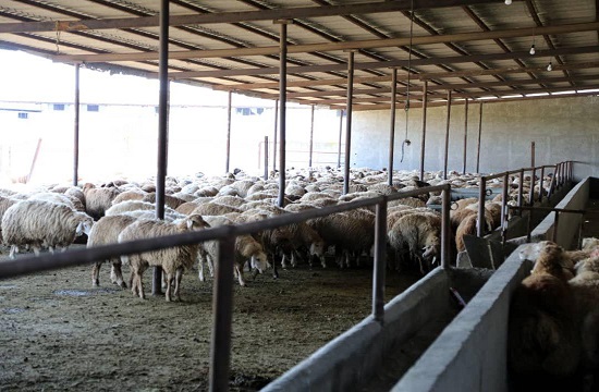 تحقق وعدههای ۸۰۰ میلیارد تومانی ستاد اجرایی فرمان حضرت امام (ره) در مناطق سیلزده تحقق وعدههای ۸۰۰ میلیارد تومانی ستاد اجرایی فرمان حضرت امام (ره) در مناطق سیلزده