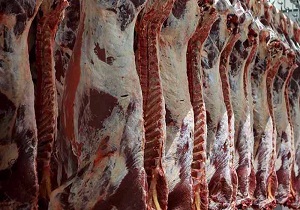 کشف بیش از ۸۰۰ کیلوگرم گوشت قاچاق در دامغان