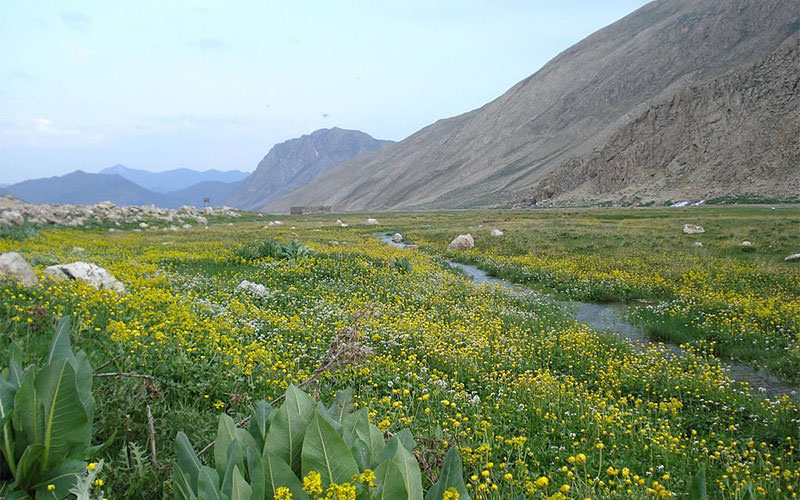تصاویری از قشنگ&zwnj;ترین دره&zwnj;های ایران