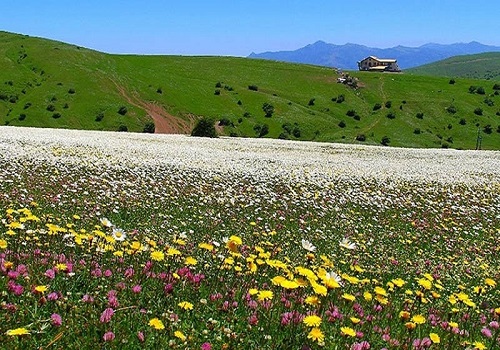 استفاده از دانش بومی در مسیر توسعه پایدار گردشگری/نخستین پل تمام شیشه&zwnj;ای ایران آماده بهره&zwnj;برداری است