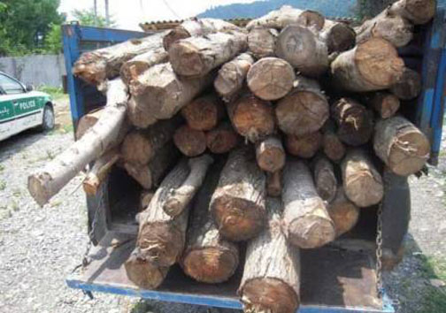 نگاهی گذرا به مهمترین رویداد&zwnj;های سه شنبه ۳۱ خرداد ماه در مازندران