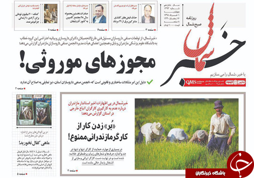 شمال پیر می&zwnj;شود/ ماهی کفال نخورید!
