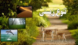 تنوع زیستی فرصتی بی نظیر برای کسب سرمایه