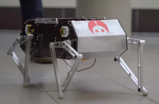 .ربات ارزان قیمت Doggo