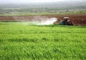محلول پاشی تغذیه‌ای مزارع گندم و جو کردستان آغاز شد