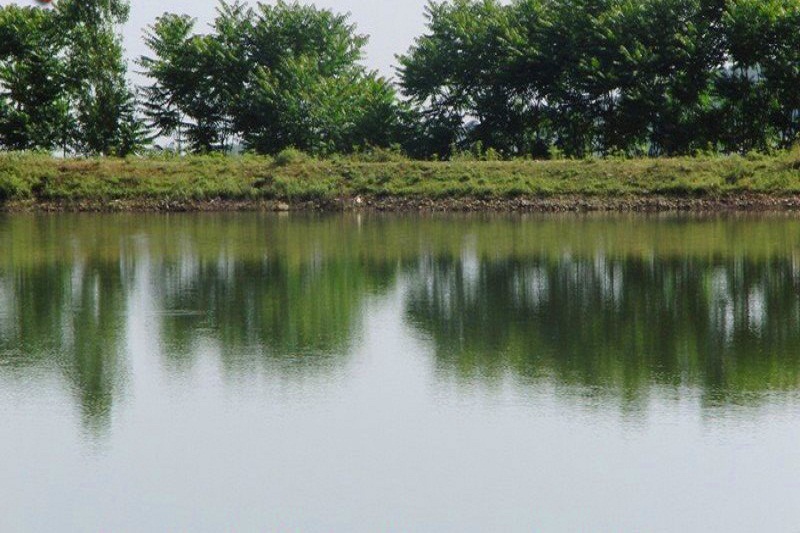 ساماندهی ۲۰ آب بندان کشاورزی در ماسال