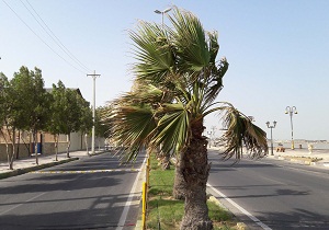 پیش بینی وزش باد و گردوغبار محلی در خوزستان