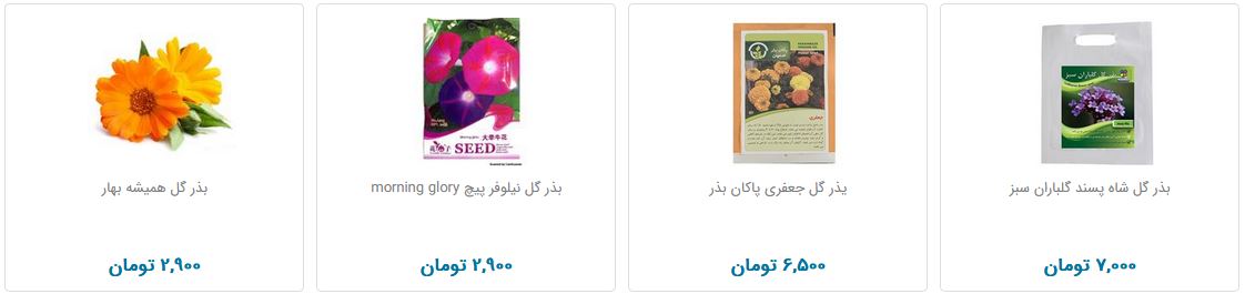 بذر و تخم گیاهان در بازار