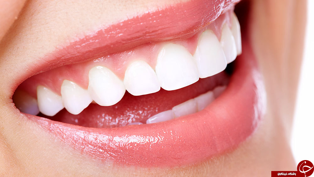 جدال میان فواید و مضرات سلامت روده&zwnj;ها چه بر سر انسان می&zwnj;آورد؟!