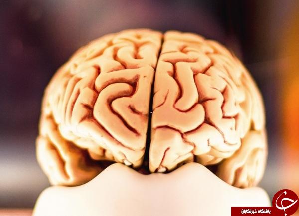 جدال میان فواید و مضرات سلامت روده&zwnj;ها چه بر سر انسان می&zwnj;آورد؟!