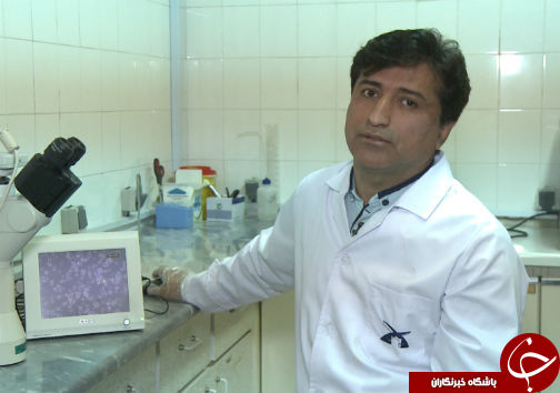 دستاورد تحقیقاتی از خاصیت شگفت انگیزطبیعت / گام بلند محققان گلستانی برای درمان سرطان مری
