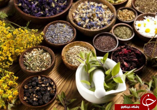 دستاورد تحقیقاتی از خاصیت شگفت انگیزطبیعت / گام بلند محققان گلستانی برای درمان سرطان مری