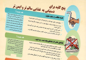 ترجمه کتاب پنج کلید دستیابی به غذای سالم در شیراز