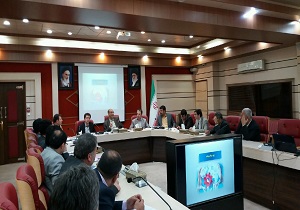 پرداخت ۲۵۰ فقره تسهیلات رونق تولید در قزوین