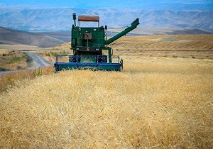 تجهیز ۱۱ مرکز خرید تضمینی گندم در شهرستان بیله سوار