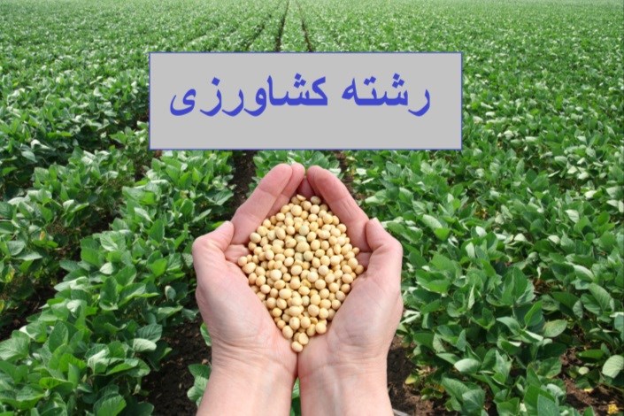 بذر از مهم‌ترین پروژه‌های کشور/ بازمهندسی رشته‌های کشاورزی در حال انجام است