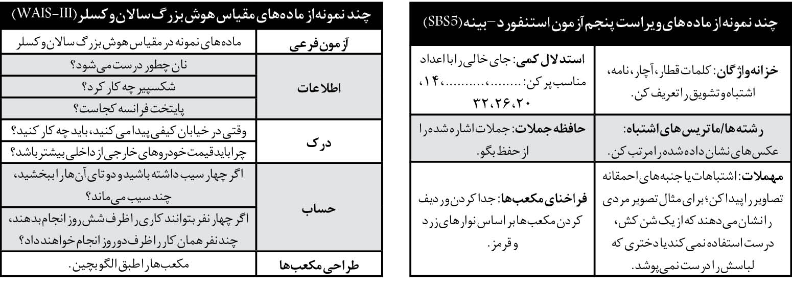 سوالات عجیبی که به عنوان تست هوش از امثال نابغه ۱۱ ساله ایرانی می&zwnj;پرسند! + جدول
