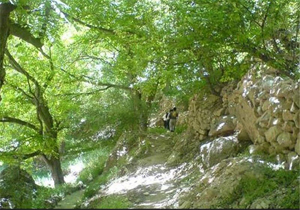 رونق گردشگری در سلسله نیازمند ایجاد زیرساخت است