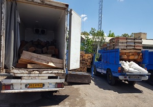 کشف و ضبط بیش از ۲۰۰ اصله چوب آلات قاچاق جنگلی در استان اردبیل