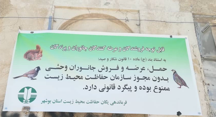 متخلفان شکار و صید در بازار بوشهر دستگیر شدند