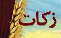رعایت موازین شرعی در هزینه کرد زکات اولویت اول دبیرخانه شورای زکات است