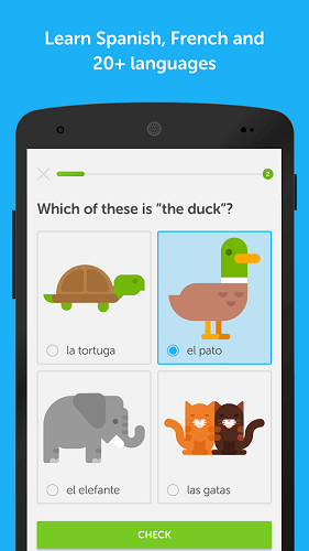 دانلود Duolingo: Learn Languages 4.16.2 - بهترین برنامه آموزش زبان برای اندروید