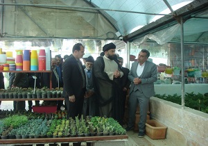 برپایی نمایشگاه گل و گیاه در آبیک