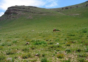 کاهش وقوع آتش سوزی در عرصه‌های طبیعی