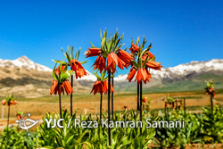 ایرانِ ما؛ دره شیرز